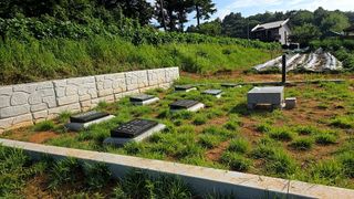 이우섭님의 고추 · 영농일지 작성글 사진