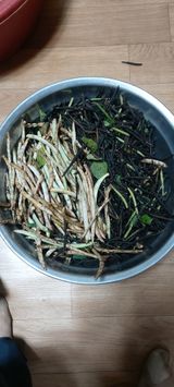 팜모닝 기타작물·영농일지 게시글 이미지