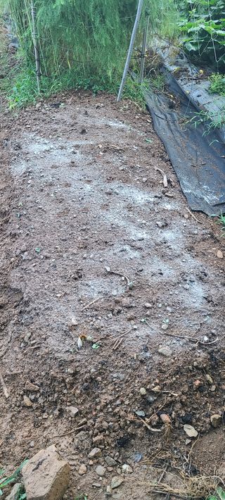 정응화님의 기타작물 · 영농일지 작성글 사진