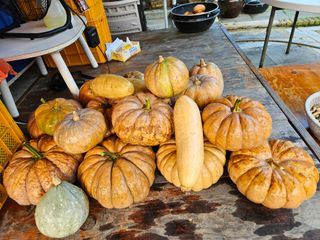 김해열님의 기타작물 · 영농일지 작성글 사진