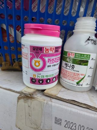 김동출님의 딸기 · 영농일지 작성글 사진