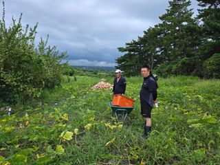 Captain김상곤님의 호박 · 영농일지 작성글 사진