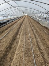 팜모닝 오이·영농일지 게시글 이미지