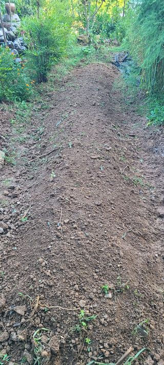 정응화님의 기타작물 · 영농일지 작성글 사진