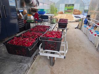 장두학님의 기타작물 · 영농일지 작성글 사진