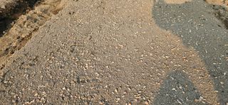 구춘봉님의 마늘 · 영농일지 작성글 사진