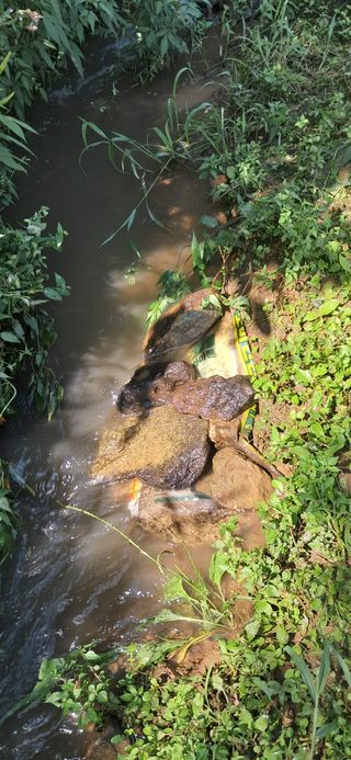 이복길님의 벼 · 영농일지 작성글 사진