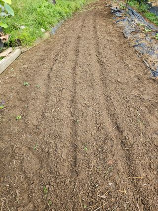 김해열님의 기타작물 · 영농일지 작성글 사진