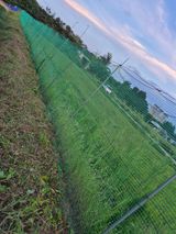 팜모닝 기타작물·영농일지 게시글 이미지