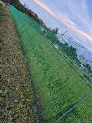 김한수님의 기타작물 · 영농일지 작성글 사진