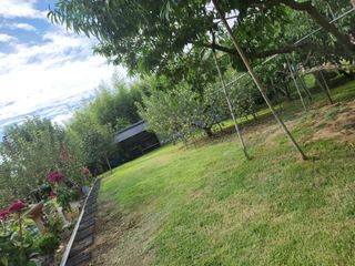 키다리님의 사과 · 영농일지 작성글 사진