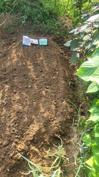 김영규님의 기타작물 · 영농일지 작성글 사진