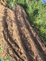 팜모닝 기타작물·영농일지 게시글 이미지