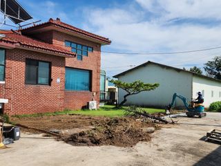 일산딸기사랑님의 딸기 · 영농일지 작성글 사진