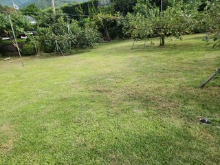 키다리님의 사과 · 영농일지 작성글 사진