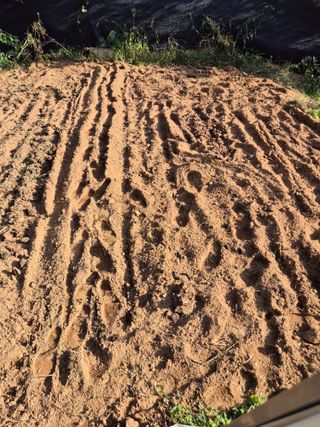 호랑이별님의 기타작물 · 영농일지 작성글 사진