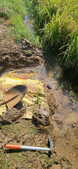 이복길님의 벼 · 영농일지 작성글 사진