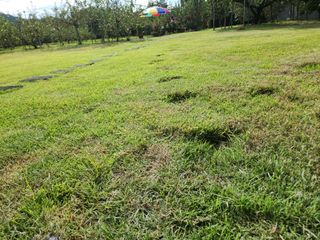 키다리님의 사과 · 영농일지 작성글 사진