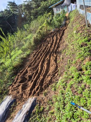 호랑이별님의 기타작물 · 영농일지 작성글 사진