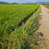 팜모닝 기타작물·영농일지 게시글 이미지