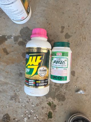 김동출님의 딸기 · 영농일지 작성글 사진