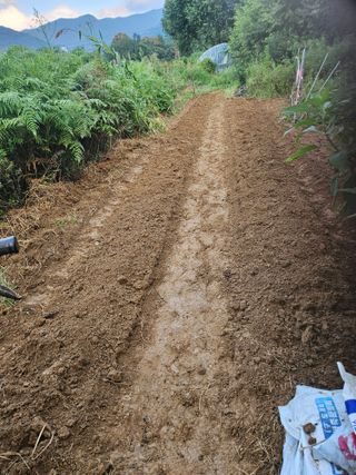 장문업 님의 배추 · 영농일지 작성글 사진