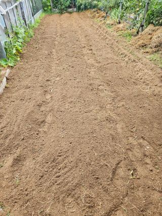 김해열님의 기타작물 · 영농일지 작성글 사진