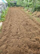 팜모닝 기타작물·영농일지 게시글 이미지