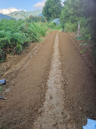 장문업 님의 배추 · 영농일지 작성글 사진