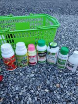 팜모닝 고추·영농일지 게시글 이미지