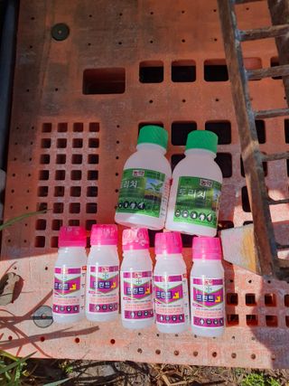 의성,군위 나상덕님의 기타작물 · 영농일지 작성글 사진