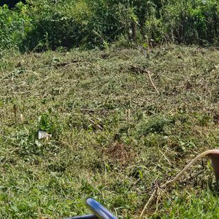 이주환님의 기타작물 · 영농일지 작성글 사진