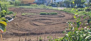 김안재님의 시금치 · 영농일지 작성글 사진