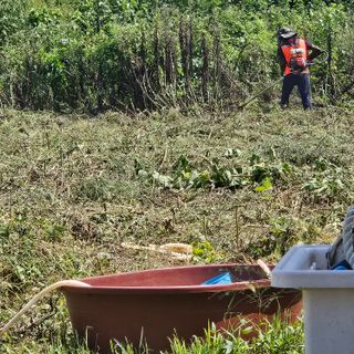 이주환님의 기타작물 · 영농일지 작성글 사진