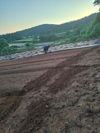 결단이님의 기타작물 · 영농일지 작성글 사진