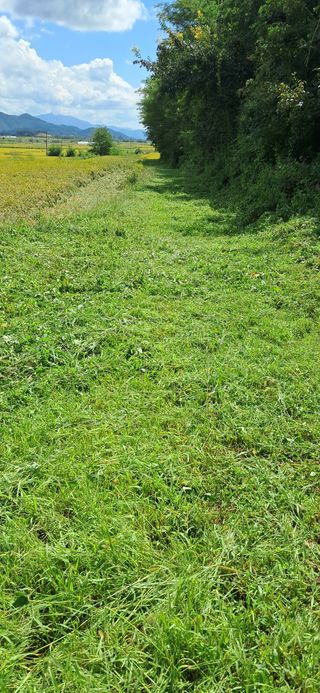 이복길님의 벼 · 영농일지 작성글 사진