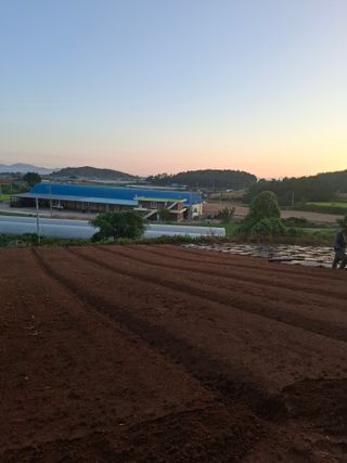 결단이님의 기타작물 · 영농일지 작성글 사진