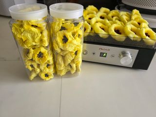 열정님의 고추 · 영농일지 작성글 사진