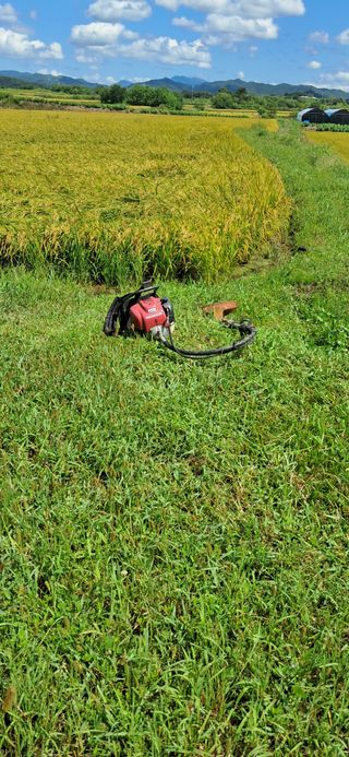 이복길님의 벼 · 영농일지 작성글 사진