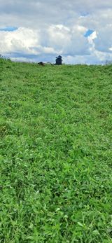 팜모닝 벼·영농일지 게시글 이미지