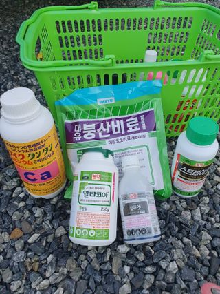 남기탁 님의 고추 · 영농일지 작성글 사진