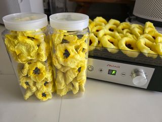 열정님의 고추 · 영농일지 작성글 사진