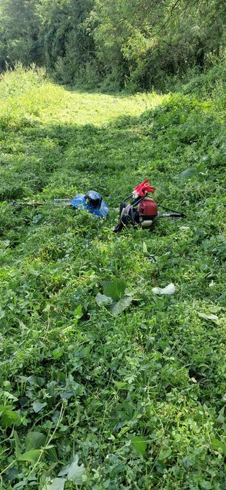 이복길님의 벼 · 영농일지 작성글 사진