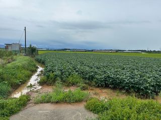 오성균님의 콩 · 영농일지 작성글 사진