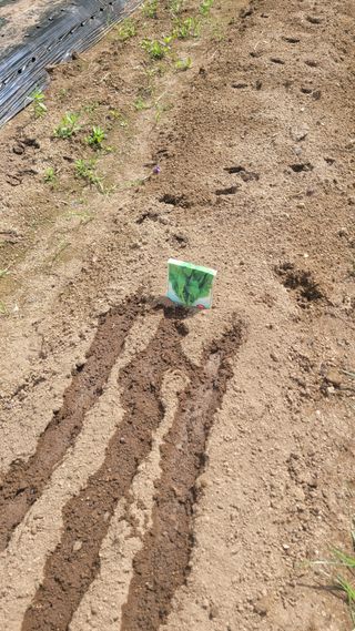 김영규님의 기타작물 · 영농일지 작성글 사진