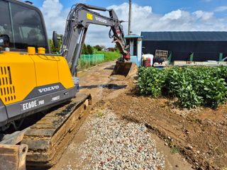 벼7893님의 콩 · 영농일지 작성글 사진