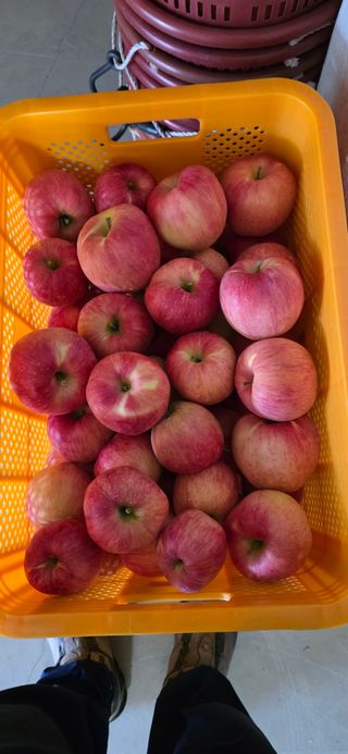 자연자유님의 기타작물 · 영농일지 작성글 사진