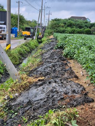 벼7893님의 콩 · 영농일지 작성글 사진