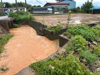 오성균님의 콩 · 영농일지 작성글 사진