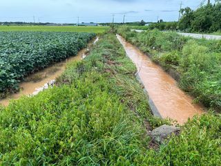 오성균님의 콩 · 영농일지 작성글 사진